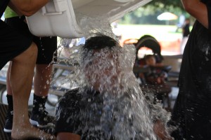 IMG_7630