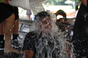 IMG_7631